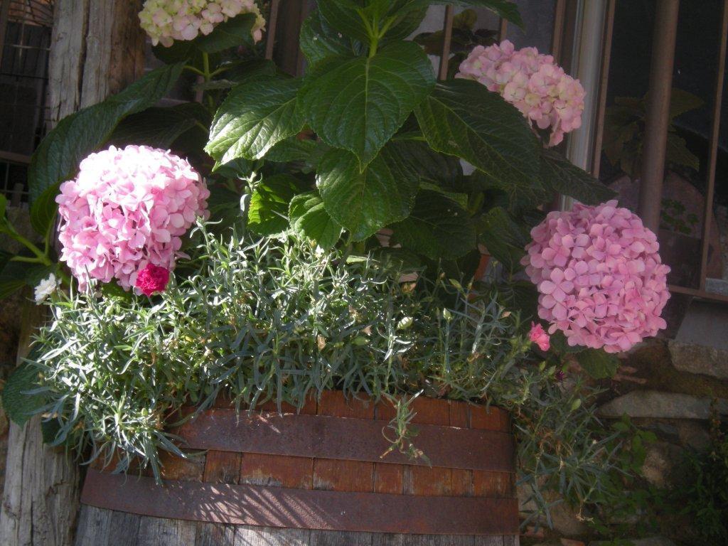 Lasmari'S Bouquet Sykopetra エクステリア 写真